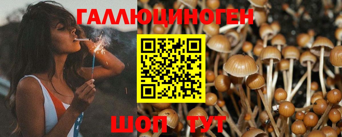 Псилоцибиновые грибы мицелий  Вход с VPN  Шали 